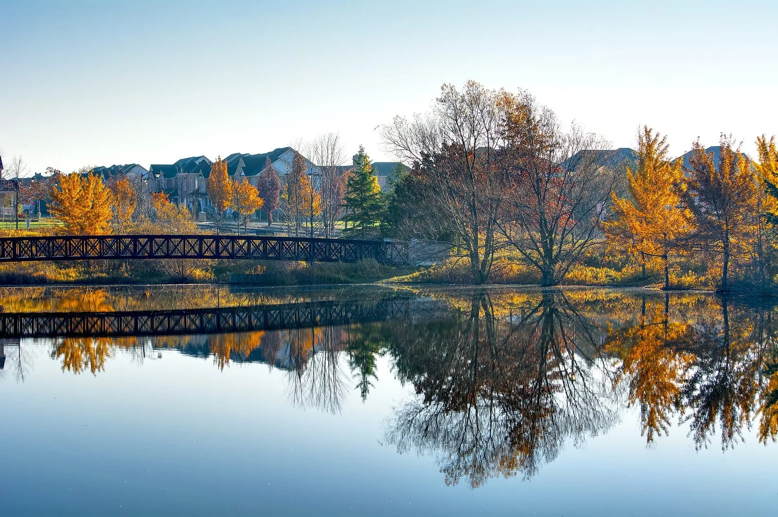 Autumn trees, a footbridge and nearby homes reflected in the pond at Berczy Park in Berczy Village, Markham.